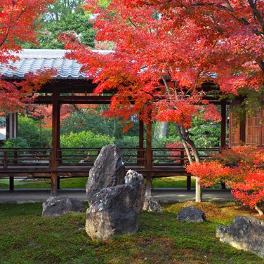 写真：秋の京都・建仁寺